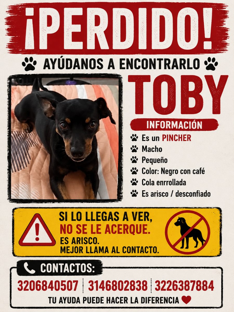 Toby